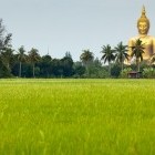 Giant buddha in rice field in Angthong provice northern Thailand