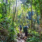 Trekkers in jungle in Thailand