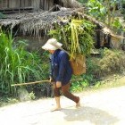 Local farmer walking through village in Vietnam