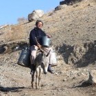 Local on mule in mountains in Uzbekistan