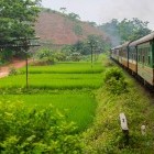 Night train to Sapa in Vietnam