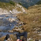 Quellgebiet in Austria.