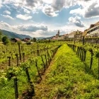 Wachau Valley in Austria