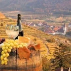 Vineyard in Wachau Valley, Austria