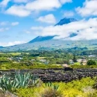 Volcano in Pico, the Azores