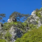 Mountainous view in Sutjeska National Park, Bosnia & Herzegovina