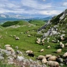 Landscape of Bjelasnica, Bosnia & Herzegovina