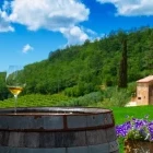 Glass of white wine on a barrel in Istria, Croatia