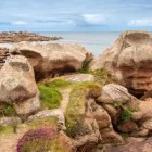 Pink granite rocks in Ploumanac'h, Brittany, France