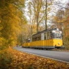 Tram in the forest of Saxon Switzerland National Park, Germany.