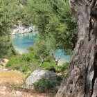 Scenic view with olive tree, on Kalamos Island, Greece