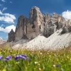 View of the Tre Cime di Lavaredo peaks from a meadow, Italy