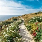 Hiking trail in Dingli, Malta