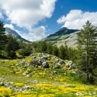 Lovcen National Park, Montenegro.
