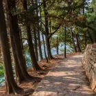Coastal path through a wooded area, near Sveti Stefan Island.