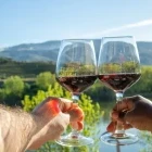 Two people enjoying a glass of wine in Peso da Regua, Portugal