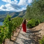 Woman walking through a vineyard in the Douro Valley, Portugal