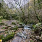 Fragas do Eume Natural Park, Portugal