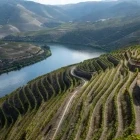 View of the Douro River and valley, Portugal