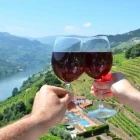 Enjoying the wine of the Douro Valley, Portugal