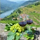 Enjoying a view of the Douro Valley with a glass of wine, Portugal