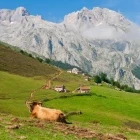 A view of the Picu Urriellu, Picos de Europa, Spain.