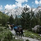 Horse herd walking on a path through Valbona Valley in Albania