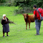 Farm stay in Zagoria Nature Park, Albania
