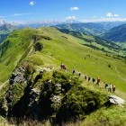 Group of hikers climbing mountain in Austria