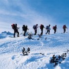 Group snowshoeing in Austria