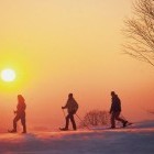 Group snowshoeing in Austria