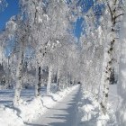 Snowshoeing track in Austria