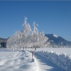 Winter scenery of the Salzkammergut region of Austria