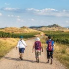Hikers following the Camino de Santiago through vineyard in Rioja region