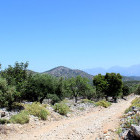 Kritsa Gorge in Crete.