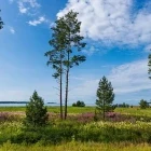 Lahemaa National Park in Estonia