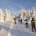 Group of cross-country skiiers in snowy wilderness landscape