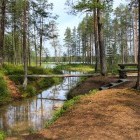 Creek in Hossa National Park, Finland