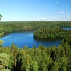 Lake and pine forest in Finland