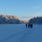 Group snowshoeing in Finland