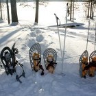 Snowshoes and walking poles in Finland