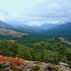 View from Col de Vergio Pass on the island of Corsica