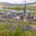 Village on Urzig on the Mosel River in Germany