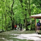 Hike trail in the Bodetal in Harz Mountains, Germany