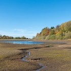 Lake Mittlerer Pfauenteich in Germany during summer