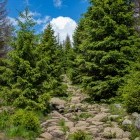 View along trail to the peak of Brocken Mountain in Germany