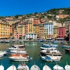 Colourful buildings in Camogli harbour, Italy