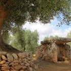 Dolmen of Montalbano in Italy