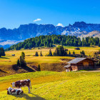 Alpe di Siusi in the Dolomites, Italy