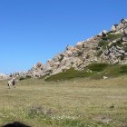 Hikers walking through a meadow in Sardinia